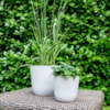 Květináč Palermo white D17 H15