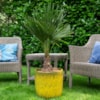 Sada 4 květináčů Rob žlutá D39 H37