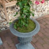 Váza Louvre concrete grey D41 H54