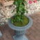 Váza Louvre concrete grey D41 H54