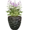 Sada 2 květináčů Cascara holly green D54 H49