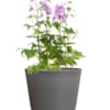 Květináč Palermo grey D35 H32