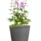 Květináč Palermo grey D35 H32