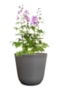 Květináč Palermo grey D35 H32