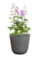 Květináč Palermo grey D35 H32