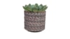 Obal Stian deep purple D13 H12