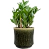 Obal Nolan pine D23 H21