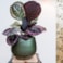 Obal Noor velvet green D23 H20