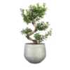 Obal Noor metalic grey D23 H20