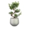 Obal Noor metalic grey D23 H20