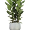 Obal Noor metalic grey D32 H30