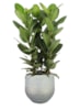 Obal Noor metalic grey D32 H30