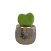 Obal Yvette gold D9 H7