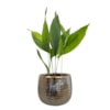 Obal Yvette gold D15 H13