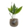 Obal Yvette gold D15 H13