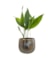 Obal Yvette gold D15 H13