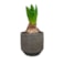 Obal Norell latte brown D18 H16