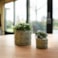 Obal Jurre green D19 H14