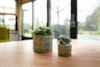 Obal Jurre green D19 H14