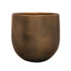 Obal Esra champagne D26 H26