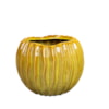 Obal Sanah rib mustard D17 H14