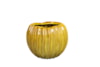 Obal Sanah rib mustard D17 H14