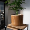 Obal Nine caramel D22 H20
