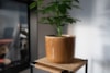 Obal Nine caramel D22 H20
