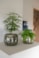 Obal Odile green D24 H19