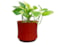 Obal Nolan red D19 H15