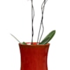 Váza Nolan red D14 H23