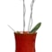 Váza Nolan red D14 H23