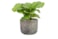 Obal Maxim shiny earth D14 H13