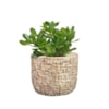 Obal Maxim shiny sand D11 H9