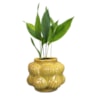 Váza Sanah mustard D16 H13