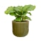 Obal Nine olive green D14 H12