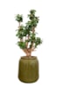 Váza Nine olive green D21 H23