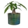 Obal Didi pearl green D17 H15