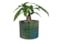 Obal Didi pearl green D17 H15