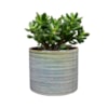 Obal Didi pearl blue D14 H13