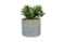 Obal Didi pearl blue D14 H13