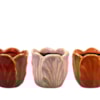 Obal Tulip colour D8 H8