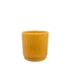 Obal Stella mustard D13 H14