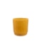 Obal Stella mustard D13 H14