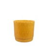 Obal Stella mustard D16 H14