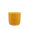 Obal Stella mustard D16 H14