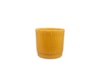 Obal Stella mustard D16 H14
