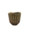 Obal Roger thyme D8 H7