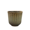 Obal Roger thyme D13 H12