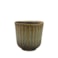 Obal Roger thyme D13 H12